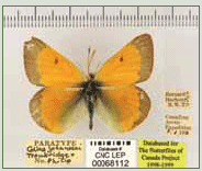 Taxonomy in Trouble in Canada