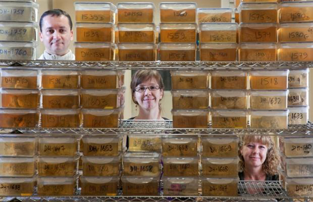 The painted brain: how our lives colour our minds