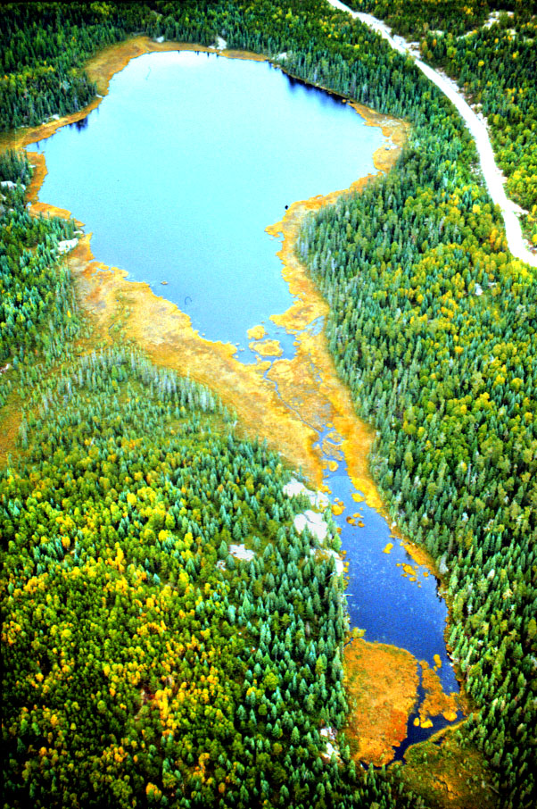 Canada’s renowned freshwater research site to close