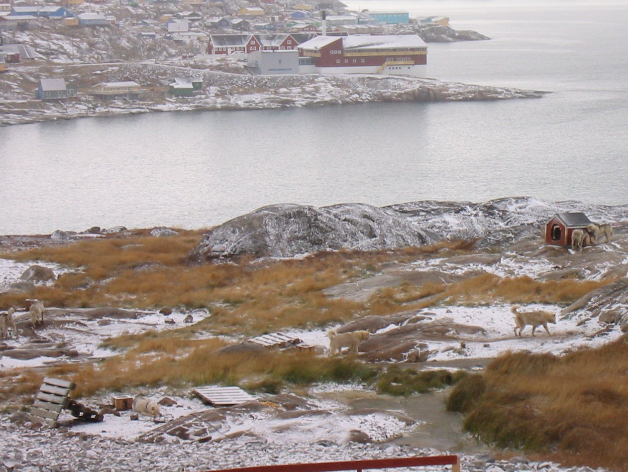 Arctic snow cover shows sharp decline