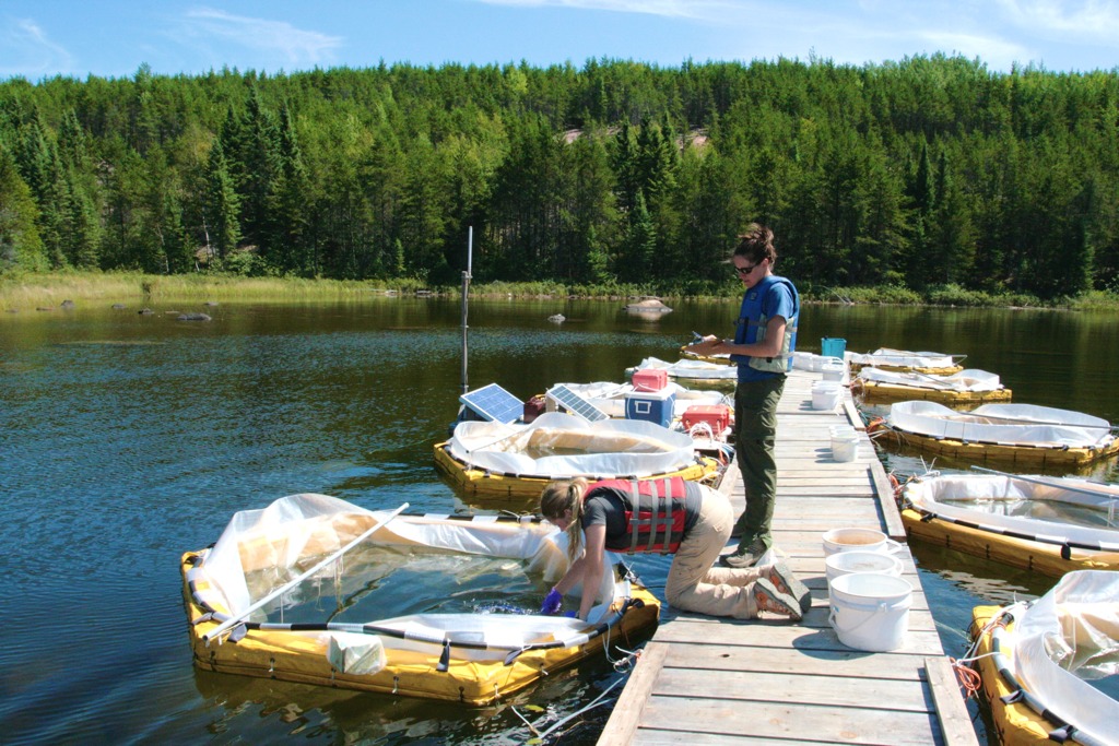 Glimmer of hope for freshwater research site