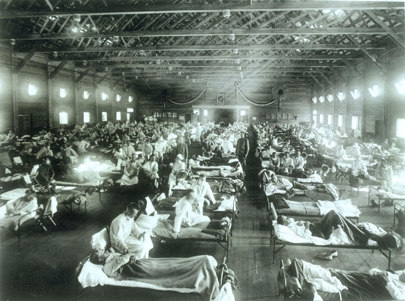 Bird origin for 1918 flu pandemic