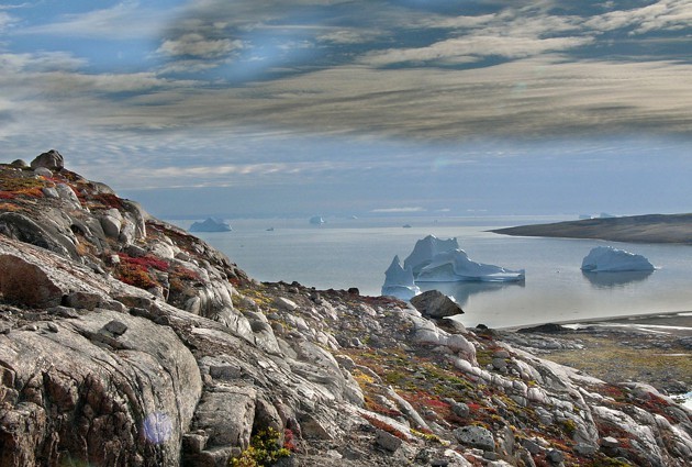 Saving the Arctic’s natural heritage