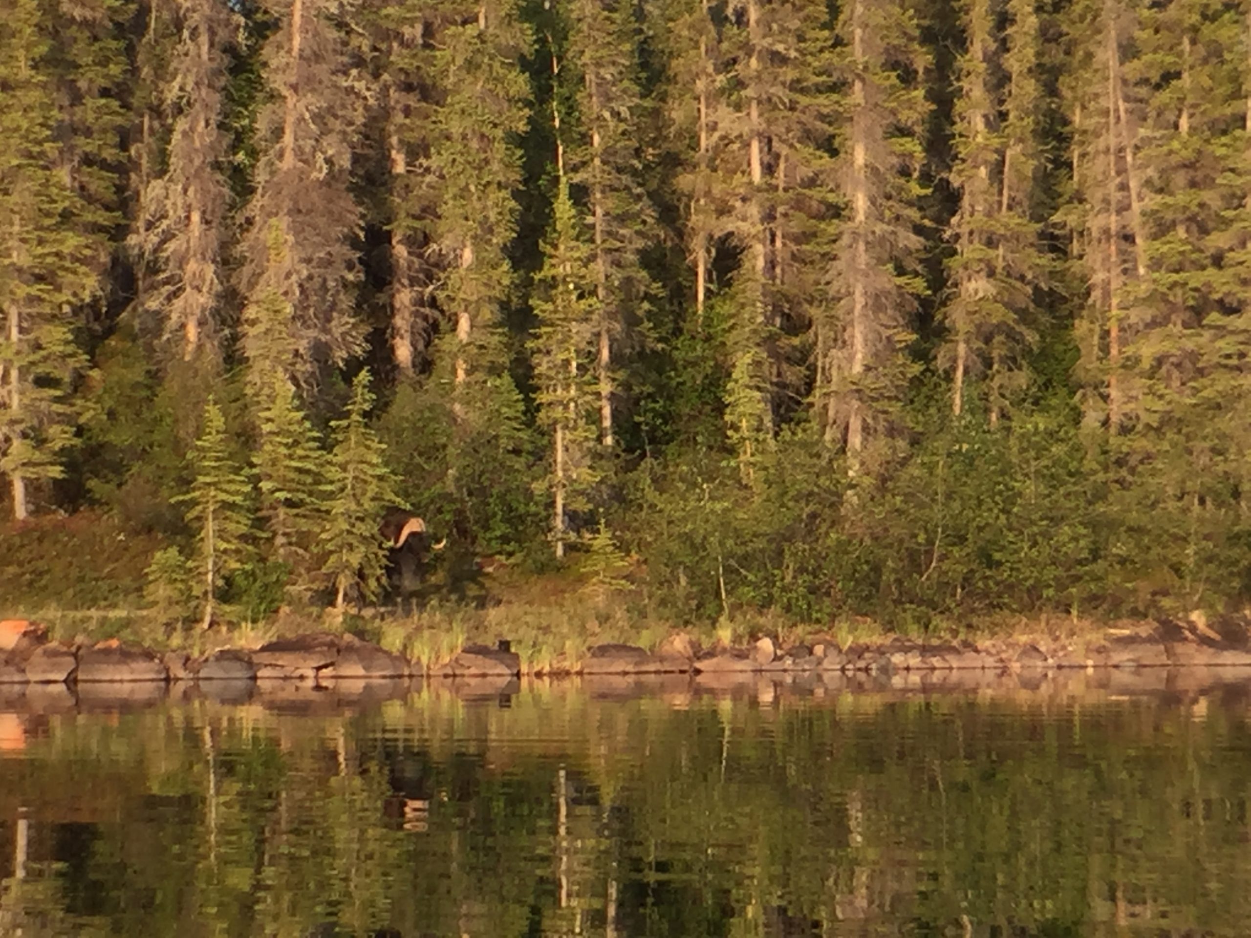 In Canada’s boreal forest, a new national park faces the wrongs of the past — and guards our climate future